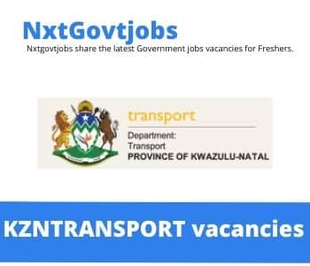 Department of Roads and Transport Epwp Training Director Vacancies – Deadline 17 Apr 2023