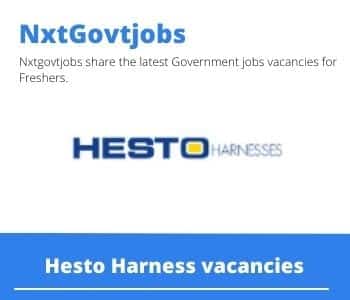 Hesto Harness Procurement Specialist Vacancies in KwaDukuza 2023