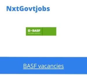 BASF Production Manager Vacancies in Durban – Deadline 12 Dec 2023
